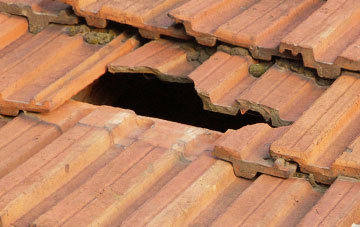 roof repair Shearston, Somerset