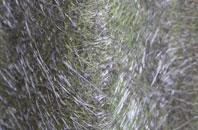 Shearston fibreglass roof work